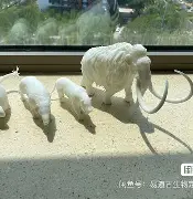 壹号娱乐网站 -王码五笔86版官方下载安装