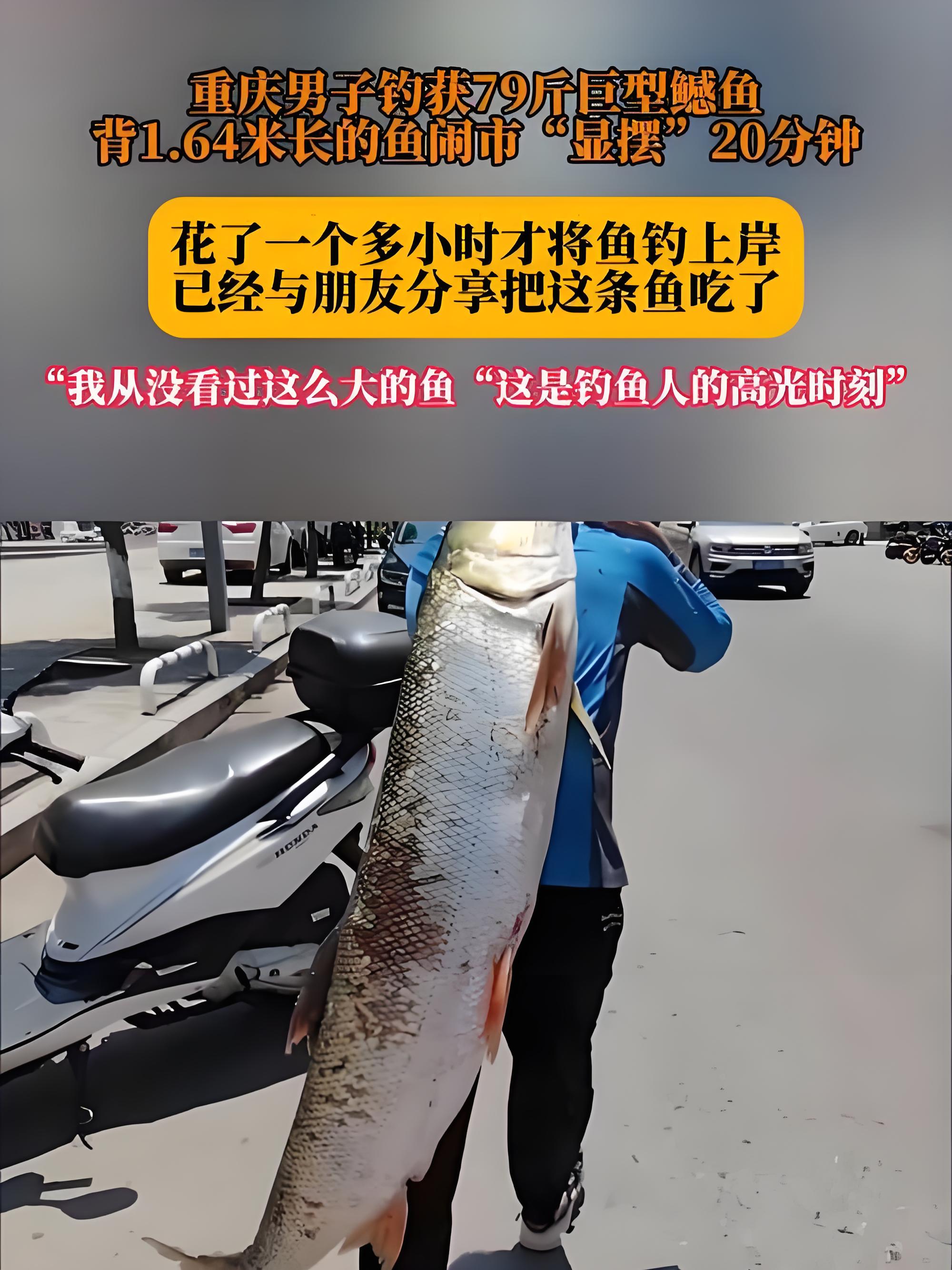 壹号娱乐 -髻lT钓S鶅齣嵚?YfA珨Mi?鮋嵆﹃a?鳲zW?的简单介绍