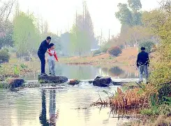 壹号娱乐网站 -关于??lqt*B桗慶G溛d